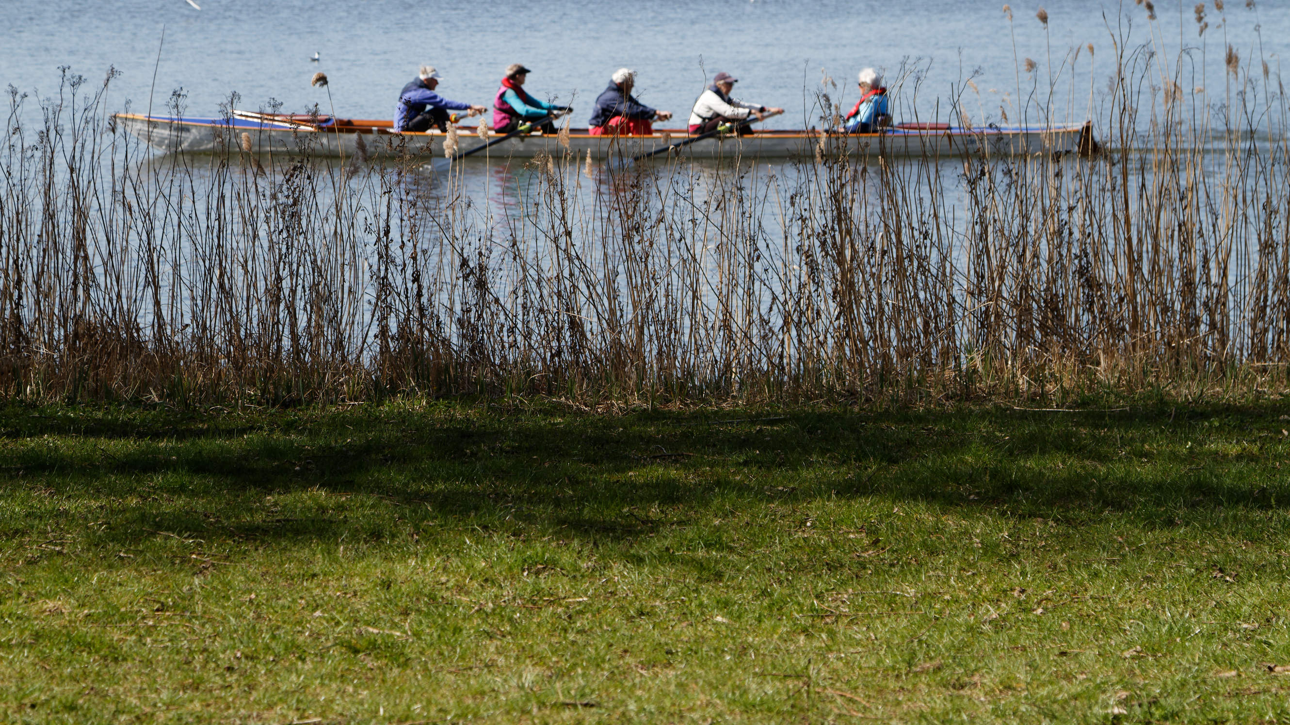20210420 Lyngby Sø 19